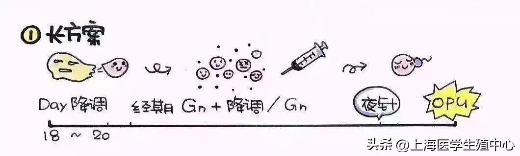 试管促排第8天日记,试管婴儿常见的促排方案