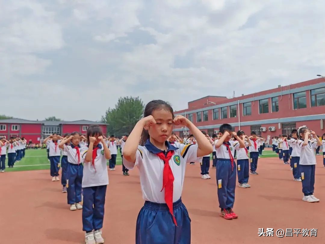 校园赛场青春激扬活力四射,推荐校园竞技