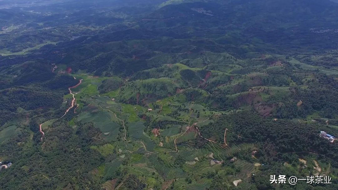 什么是普洱茶的喉韵,什么是普洱茶的渥堆味