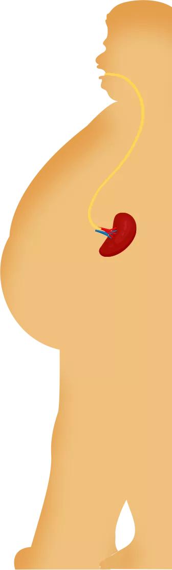 口苦口涩是肝不好还是胃不好,口苦口臭肝区胀怎么回事