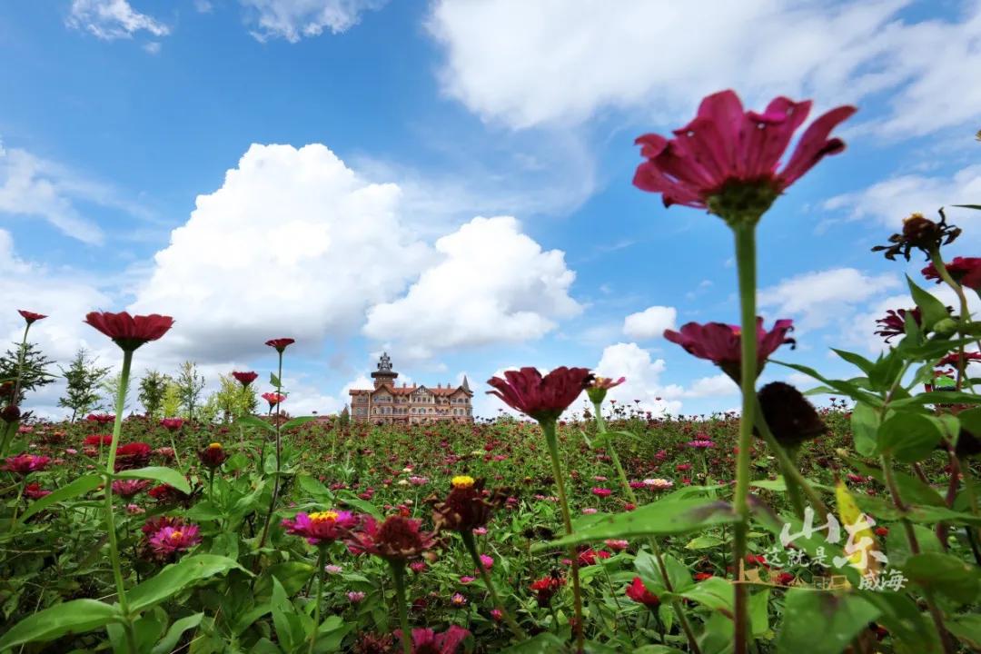 这就是威海,威海这几天天气