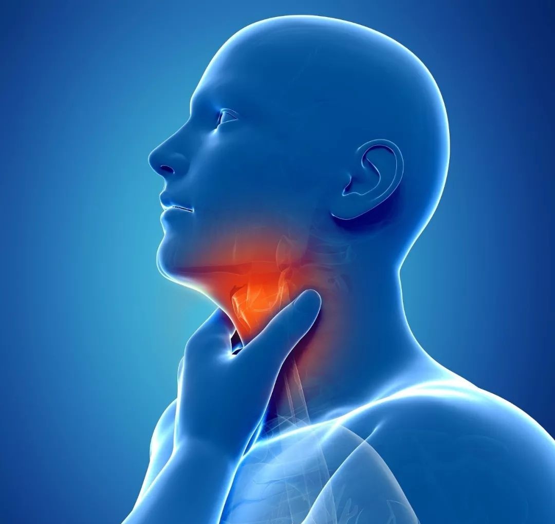 治嗓子疼的润喉茶,润喉缓解咽喉痛茶