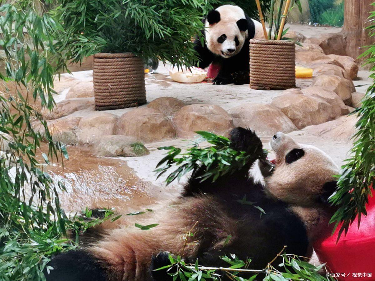西安本地人必打卡的景点,西安市区值得去的景点推荐