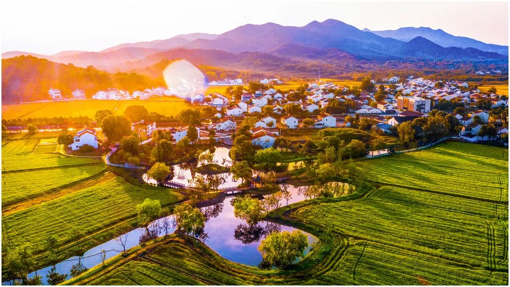 中国摄影艺术展获奖作品,北京国际摄影节获奖作品