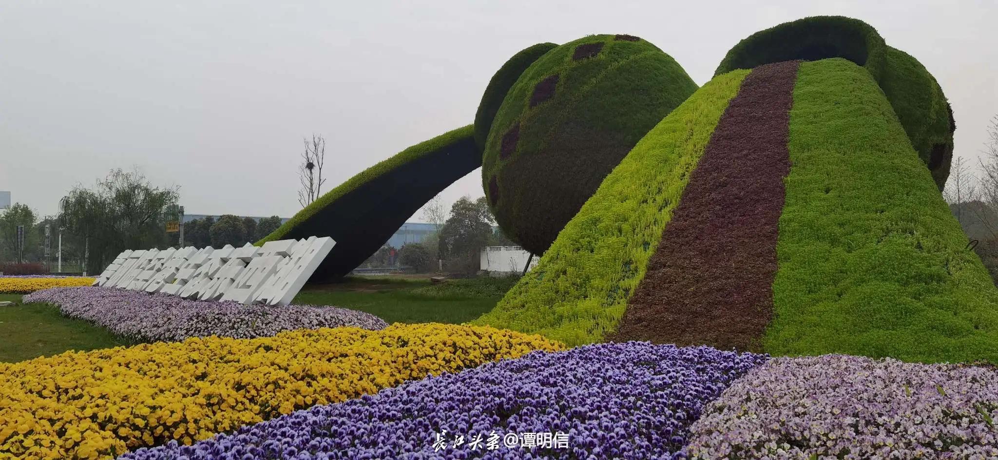 精明女人理财之道,女人的理财