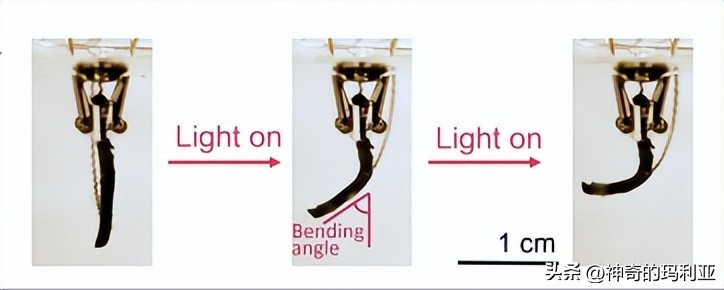 磁性响应水凝胶,光热效应水凝胶