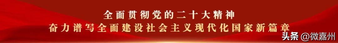 乐山市市中区政务中心咨询电话,乐山市审批局电话