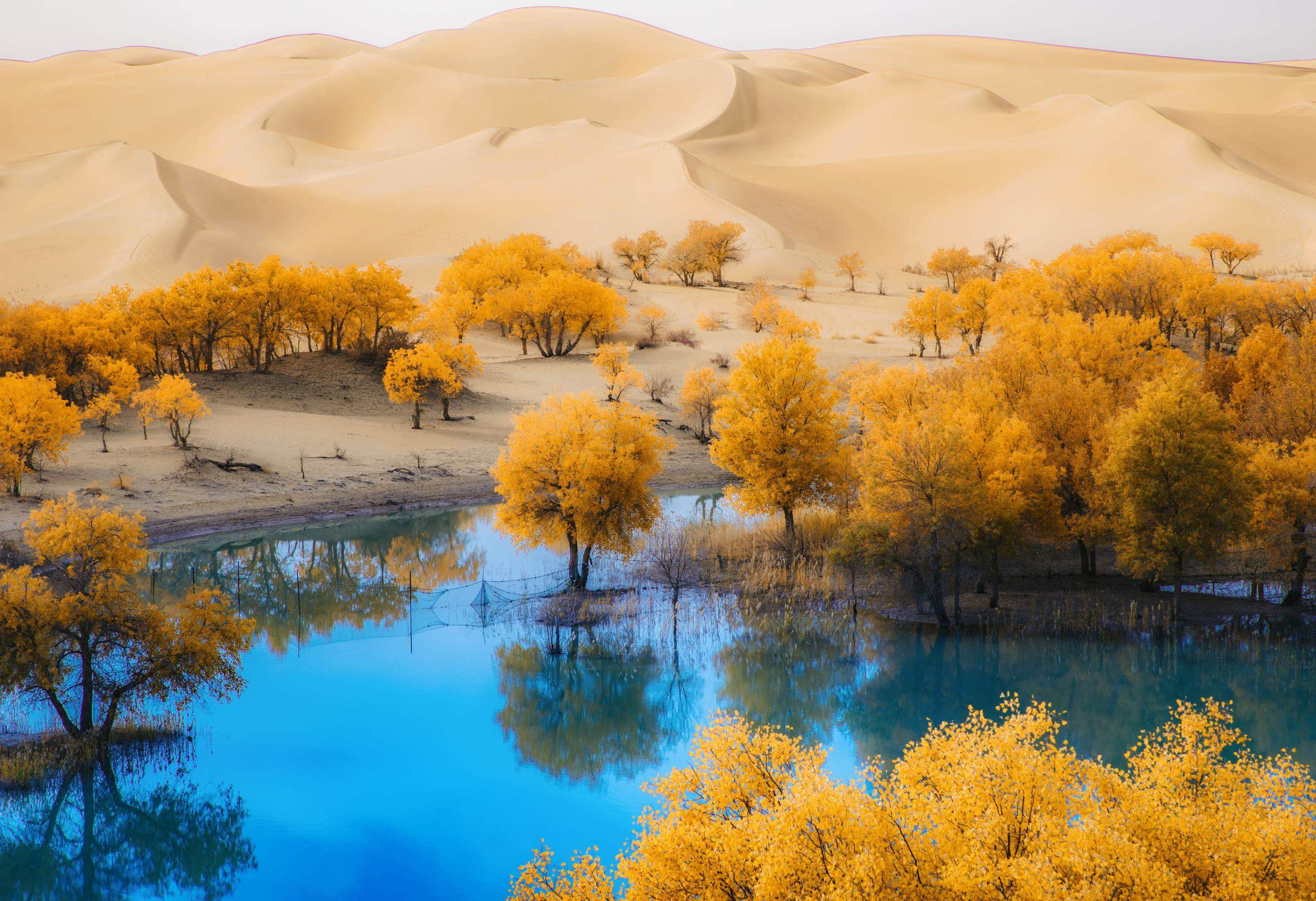 口里人，请多多理解*疆新**人吧