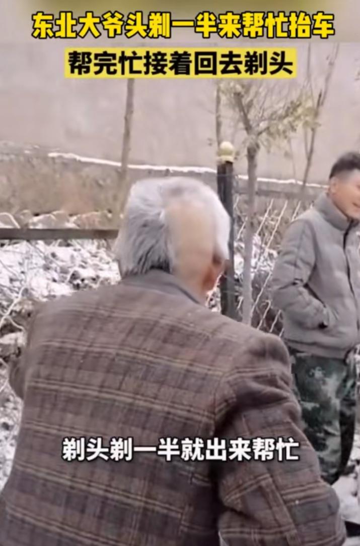 抗疫中药获得成功利好红日吗,抗疫神药麻黄