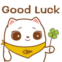 侨谊小学改名了吗,无锡南外国王国际学校改名