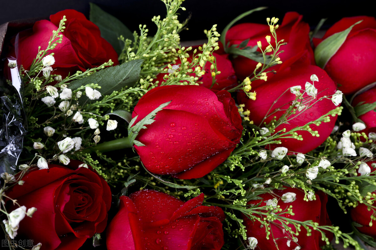 玫瑰花语大全短句子,玫瑰花语大全