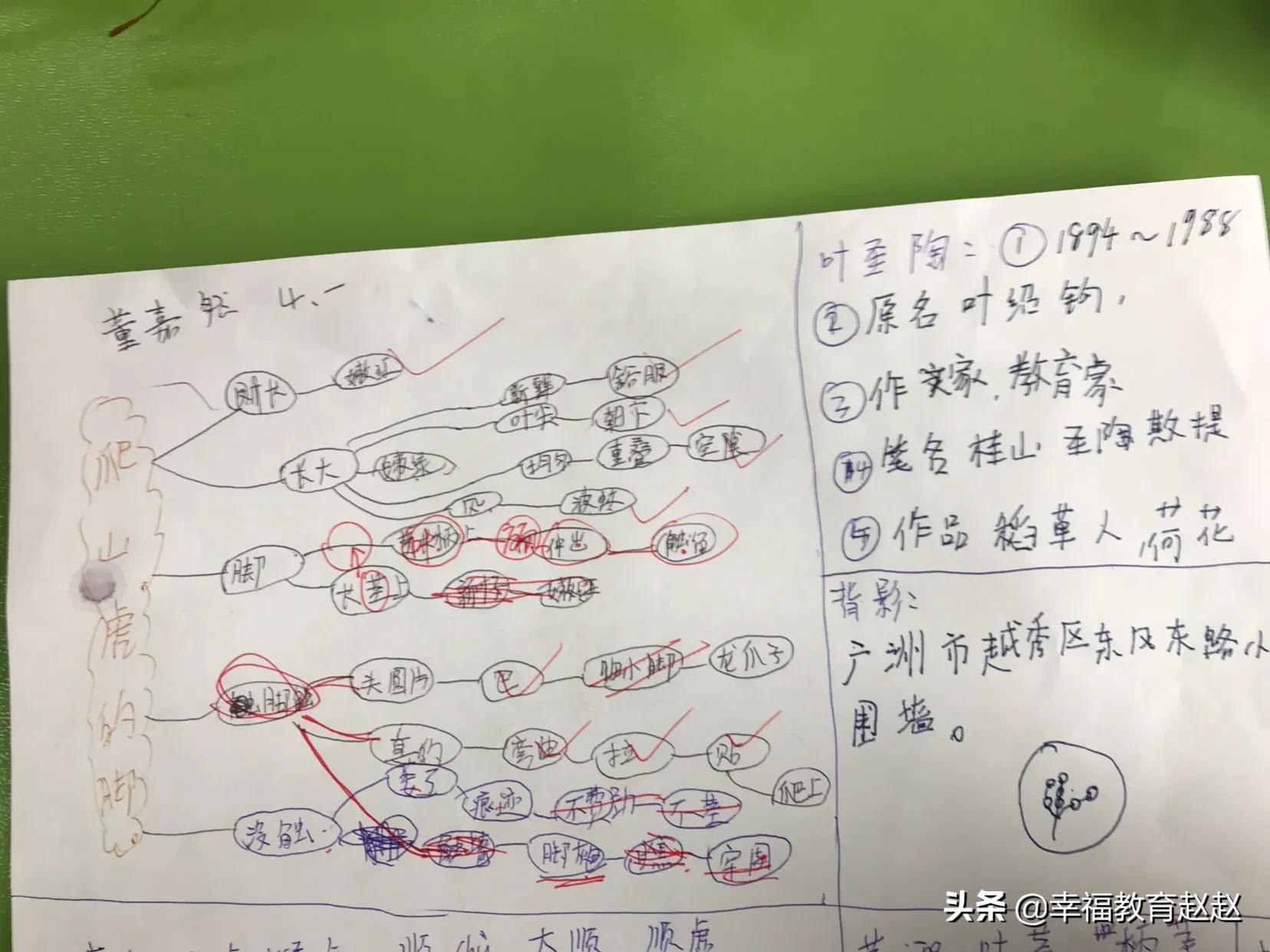 爬山虎的脚思维导图怎么画图片,爬山虎的脚思维导图绘画过程