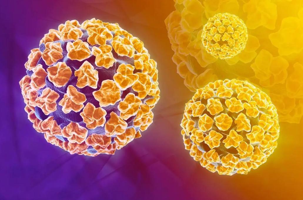 人身上有瘊子怎么处理,身上五种疣可能是hpv感染