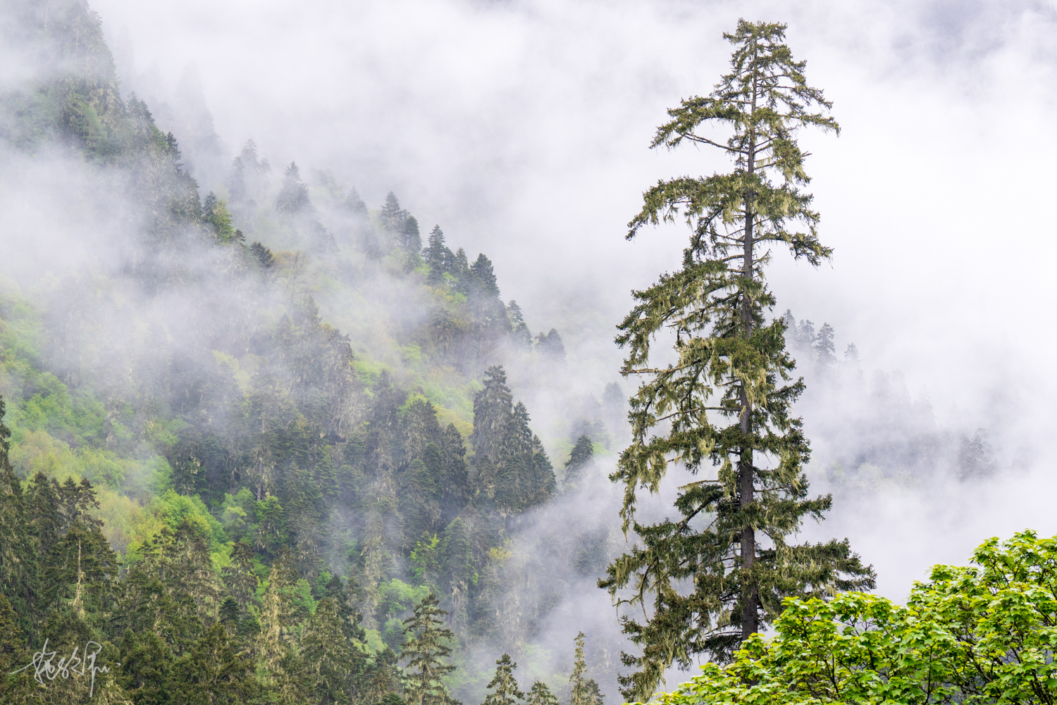 我的2022年度报告,我的2022原版