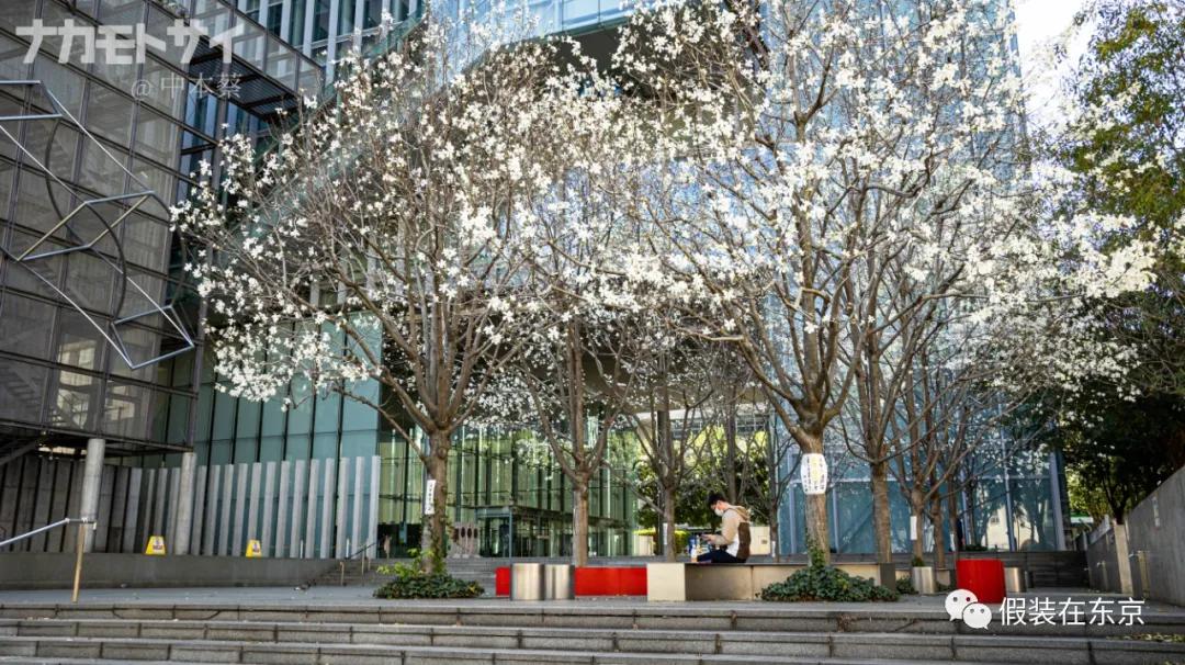 365张照片回顾,365张相片