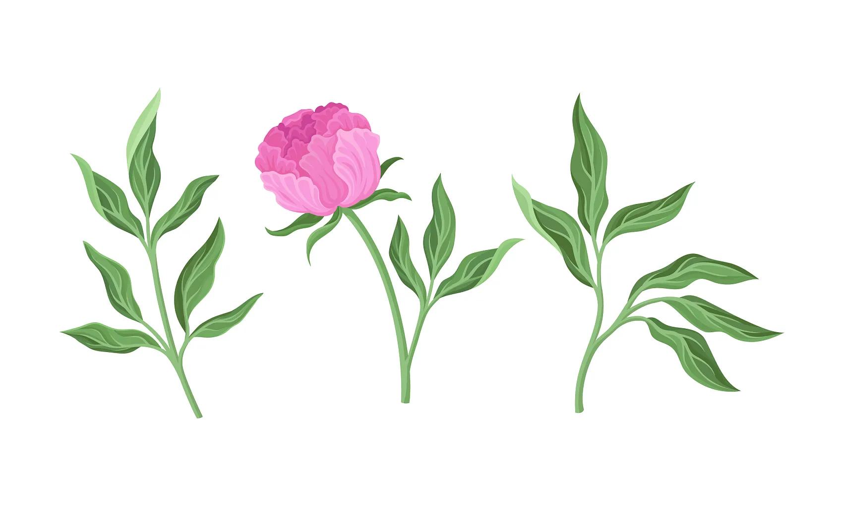 信必可都保每次用都需要拧吗,信必可都保的正确用法