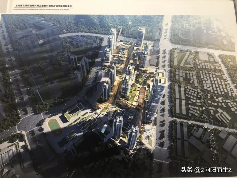 龙岗星龙园,大运星龙园