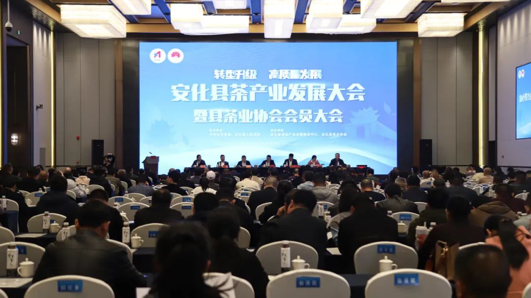 安化黑茶开园视频,安化黑茶网上开园