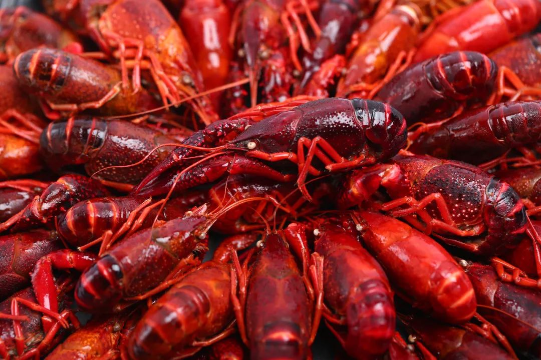 宁波出发路线推荐,宁波最全攻略