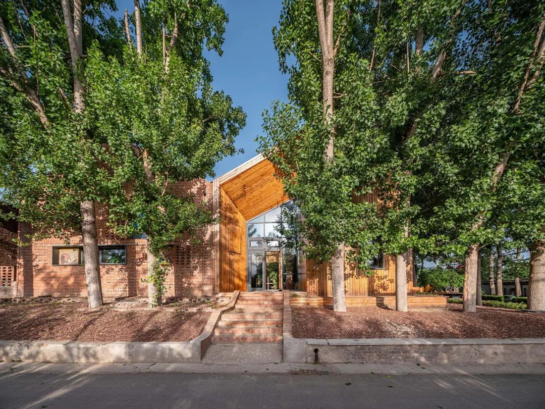 乡村振兴谋划不全不细典型案例,国内外乡村振兴典型代表及案例