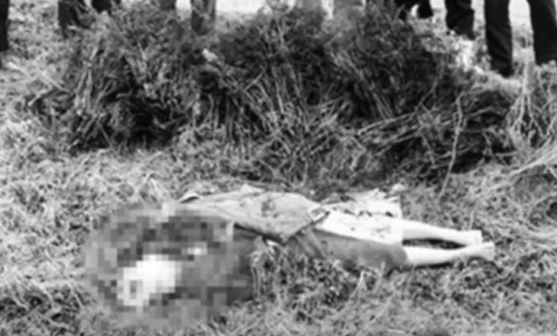 未破的连环杀人案,华城连环杀人案的真凶