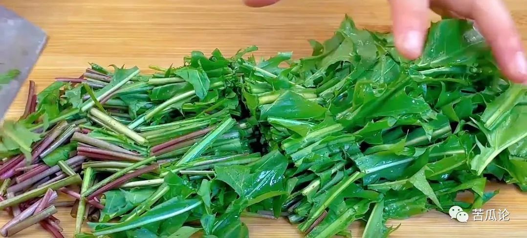 春季“药草之王”，号称养肝第一菜，中老年吃它，排毒，排黑宿便