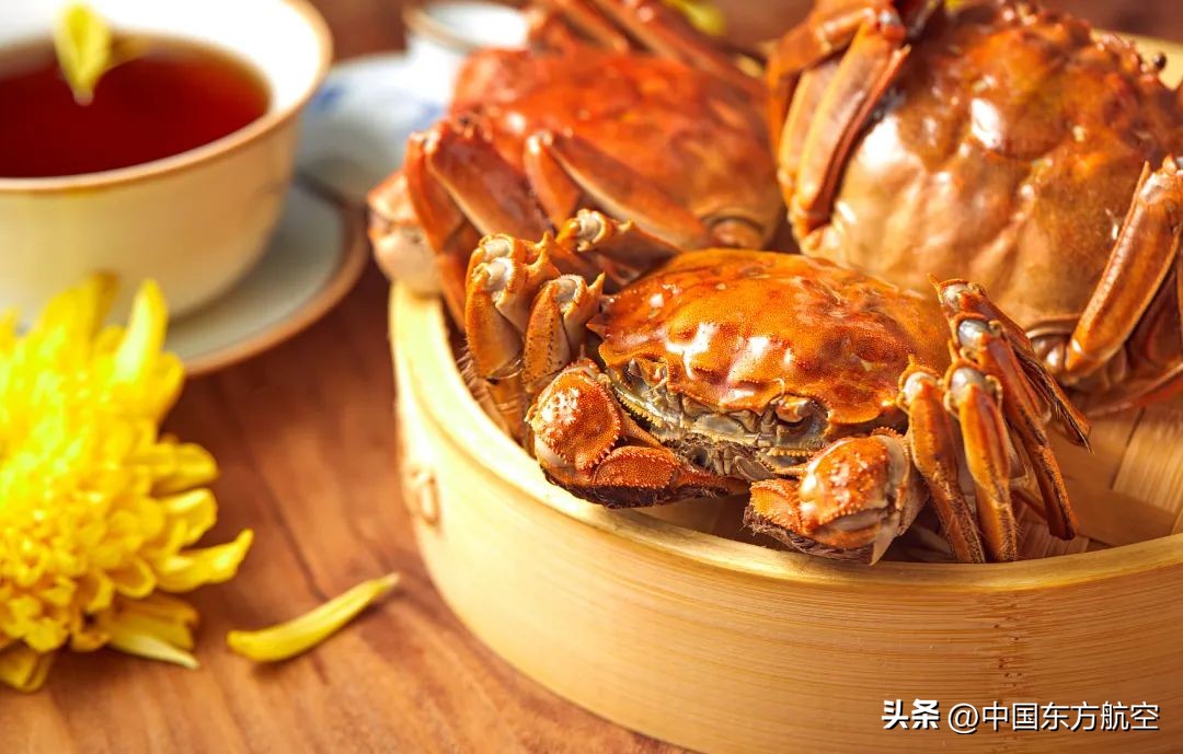 邀你来一场秋天的约会,和秋天来一场约会