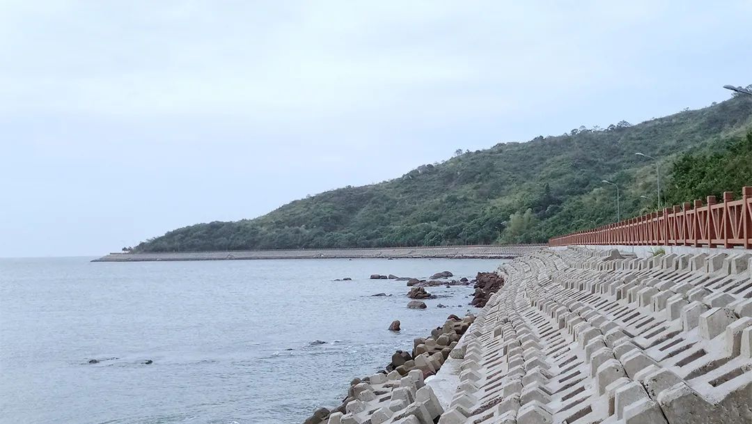 适合看海的城市排行,去哪个城市看海性价比高