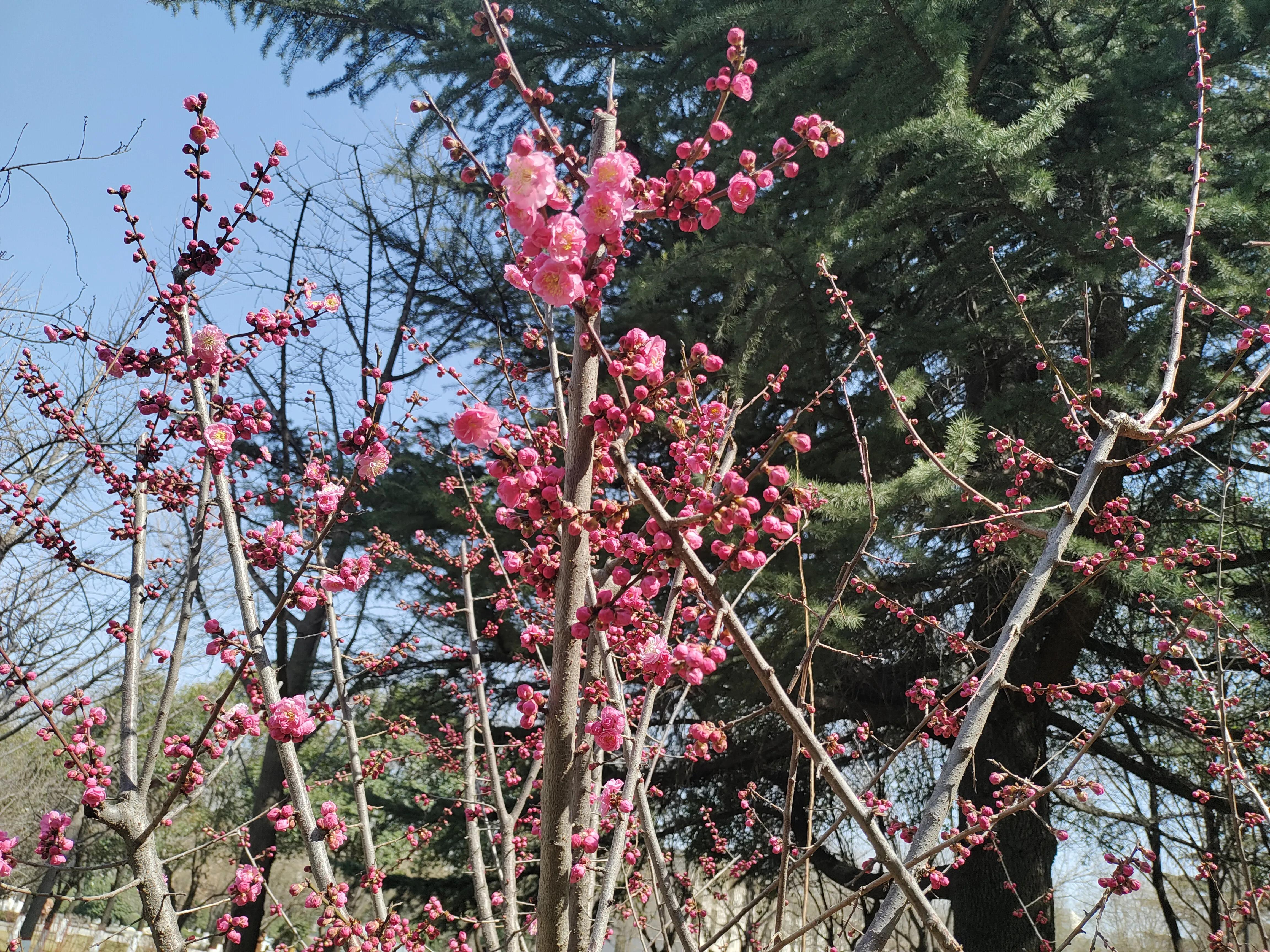 微信退群告别语,微信退群恢复