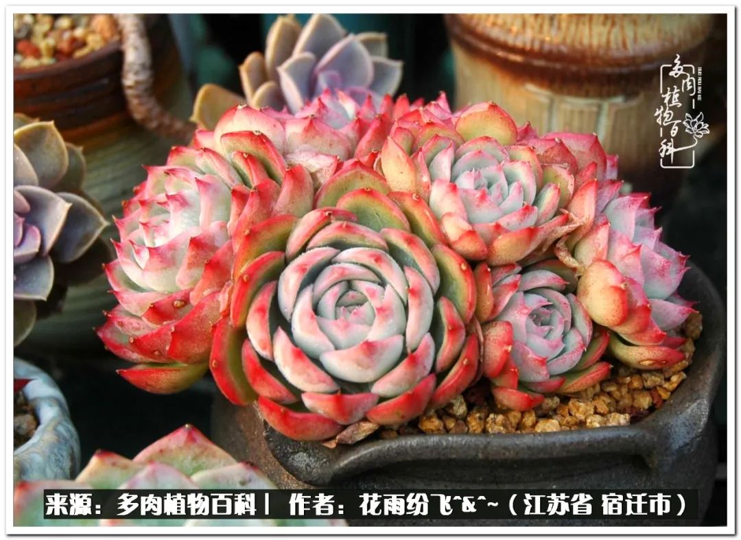 快乐的童年时光视频,回味快乐的童年美好的时光