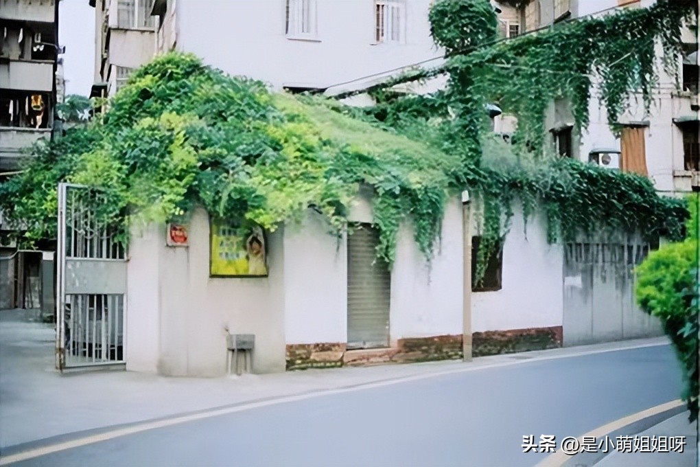 想要成功就要努力的奋斗,想要成功就得努力