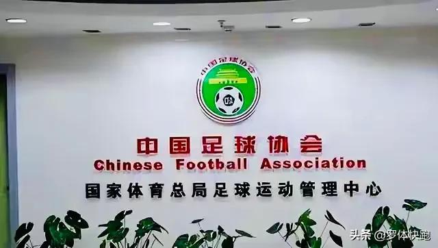 足协王小平判罚,足协王小平接受调查