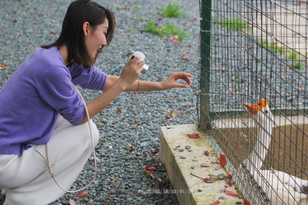 长沙攻略非热门,长沙旅游攻略免费存行李