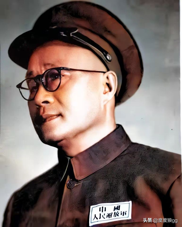 中野千里跃进大别山对全国影响,中野为什么要挺进大别山