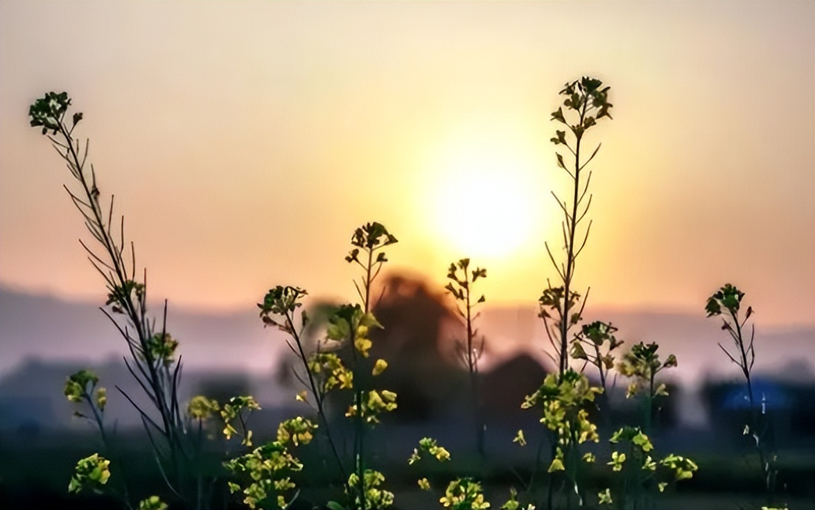 命里出现这四种说明老天爷在渡你,老天要渡你命里会有三种迹象