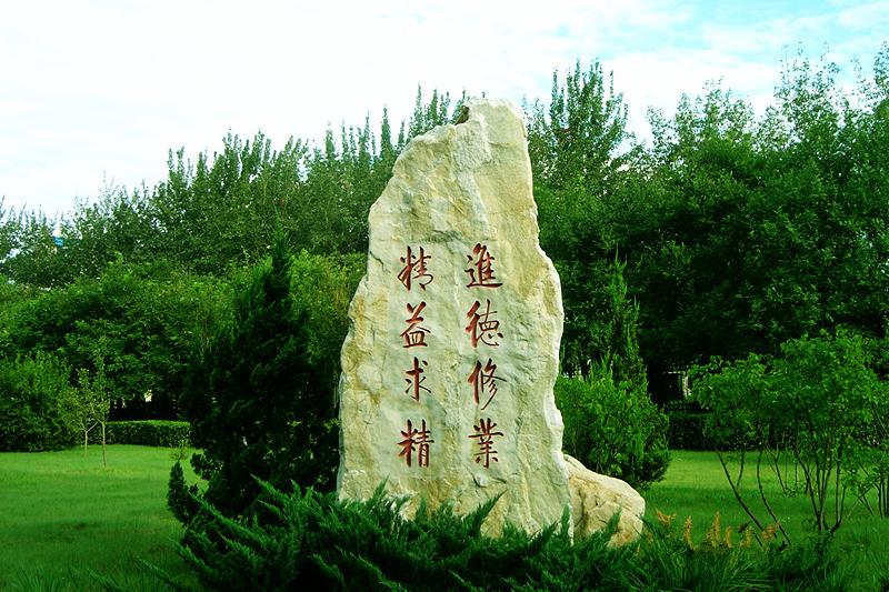 西安石油大学设计类高考分数线,2021年西安石油大学艺术类分数线