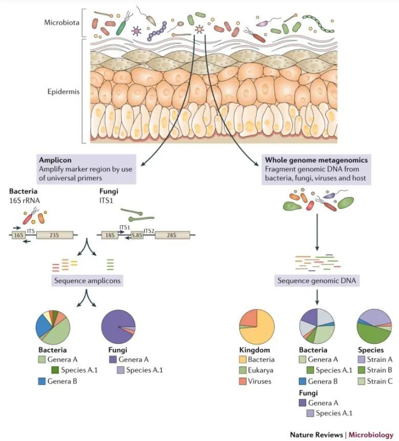 秋冬换季皮肤该怎么护理,秋冬皮肤护理补水
