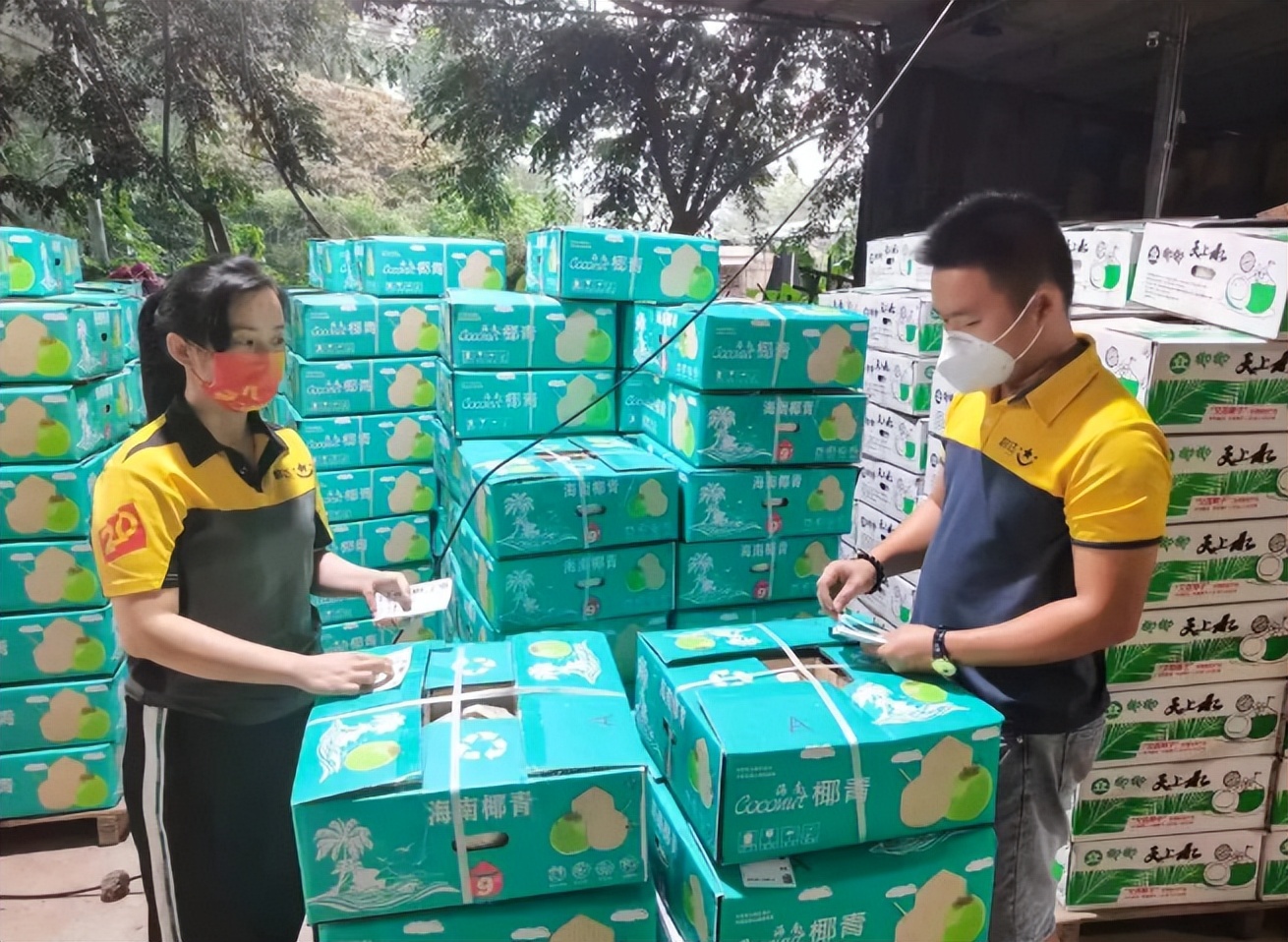 韵达快递服务区域,韵达快递服务网点