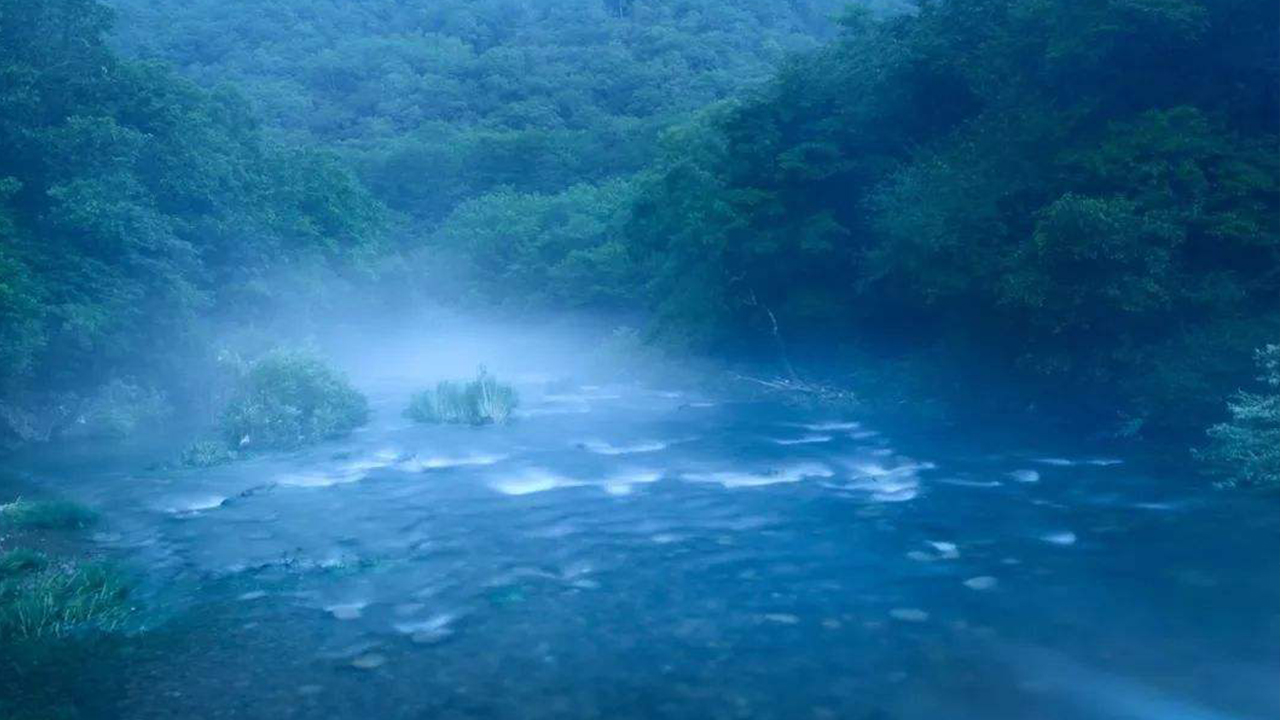 炎炎夏日心静自然凉经典语录,炎炎夏日何以解暑唯有空调