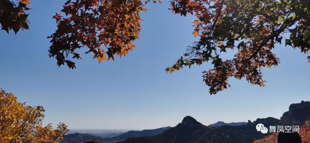 锦州青岩寺歪脖老母旁边的树,青岩寺歪脖老母在锦州哪里