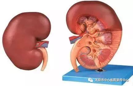 肾盂癌血尿治疗方案,八十岁老人膀胱癌血尿