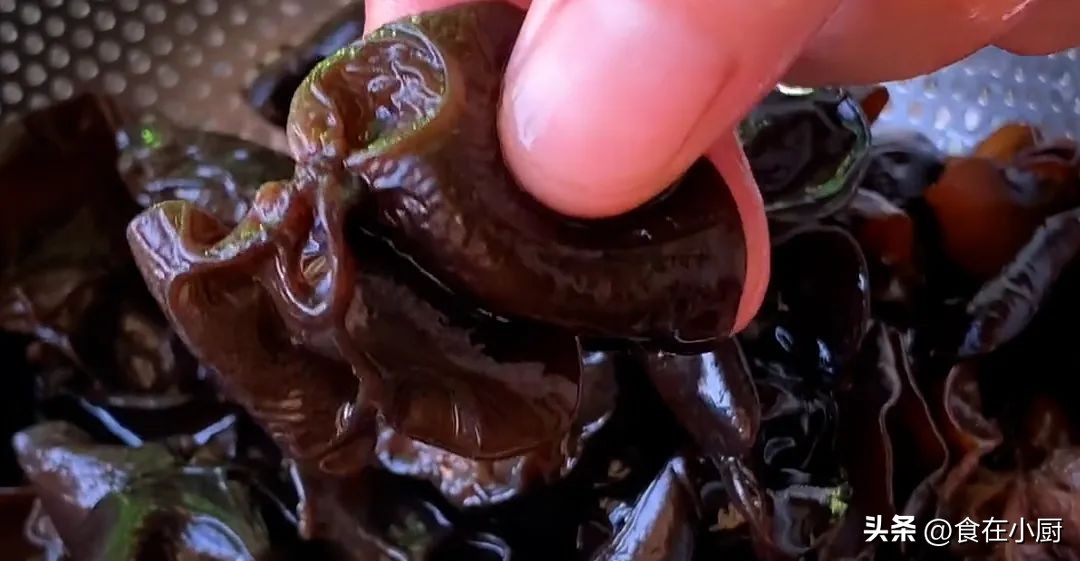 木耳直接用清水洗就可以了吗,新鲜木耳怎么清洗才能除虫卵