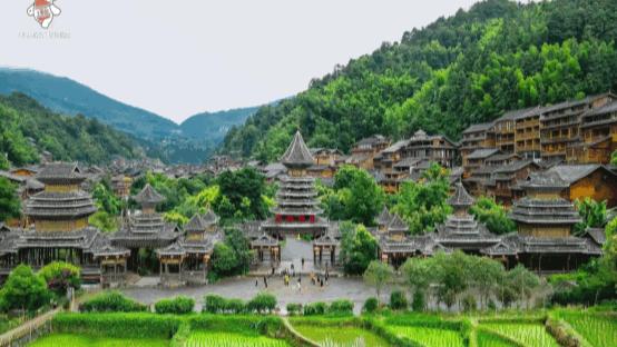 以酒之名，茅台经销商用469场活动沉浸式传递“美”文化