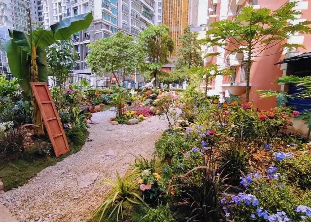 2个北大学霸，在房价10万一平的深圳市中心，造了80座花园