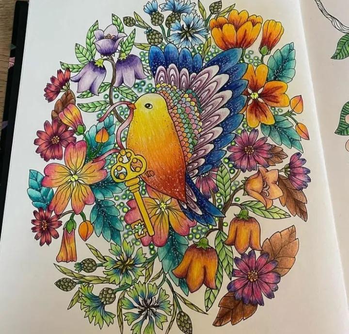 100幅初学者彩铅画花卉,100张新手彩铅临摹图片