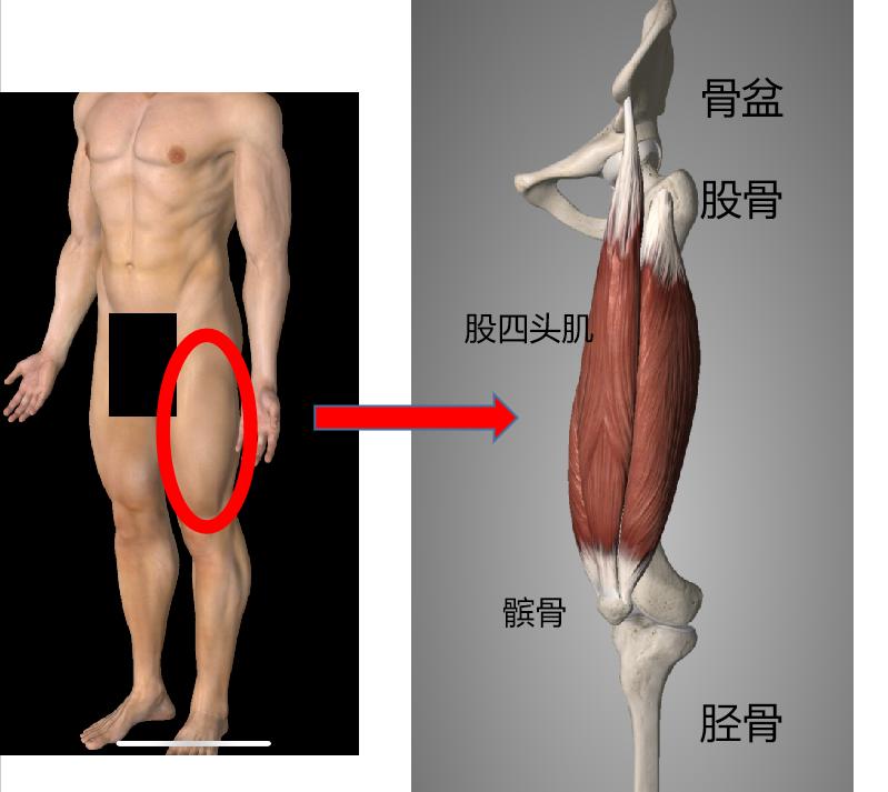 动作分析的内容和步骤,动作分析的视频