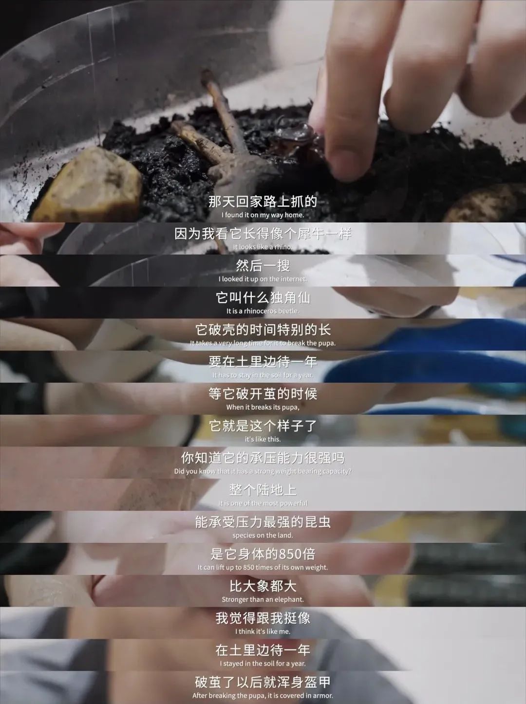 留学生崇洋媚外，活该有家难回？看完一部片，再也不会这样说