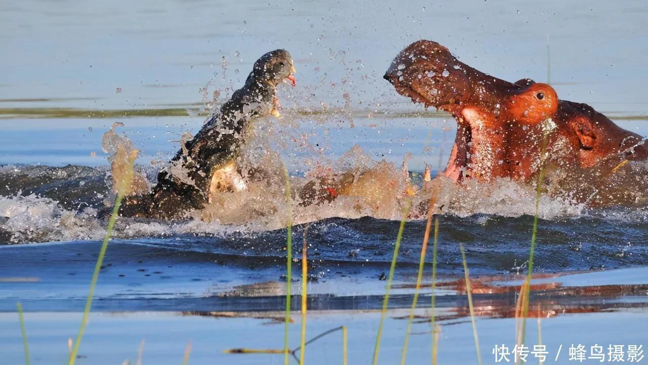 爆笑图集:金字塔的塔尖并不是尖的,上面可以踢足球