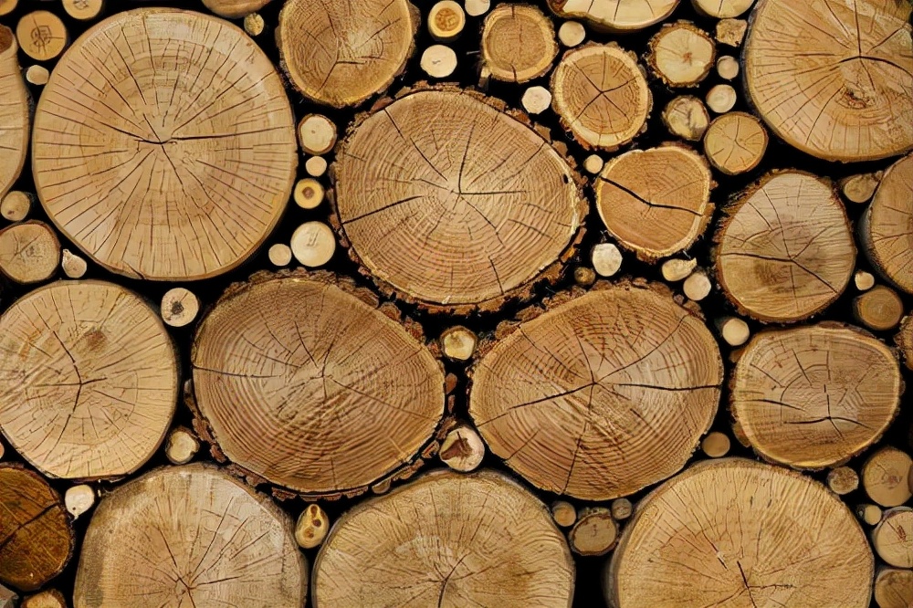 越南木工发现兰花印记,越南木工发现兰花