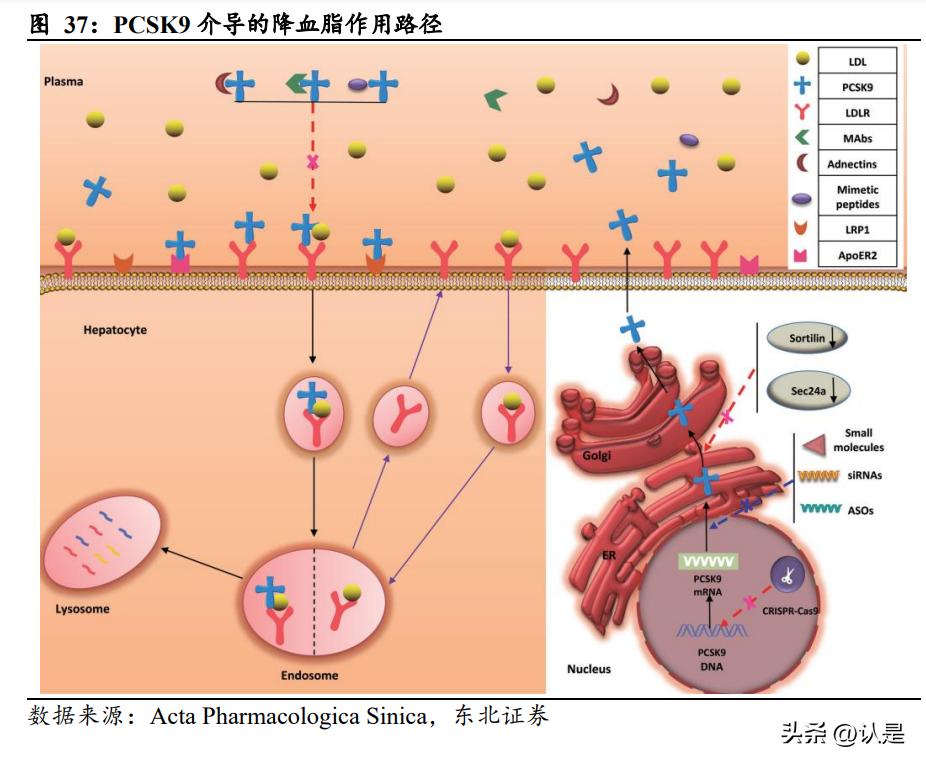 信达生物公布一季度报,信达生物未来估值千亿